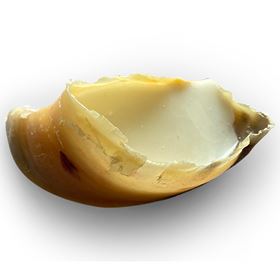 CASCOS RECHEADOS COM SEBO DE OVELHA